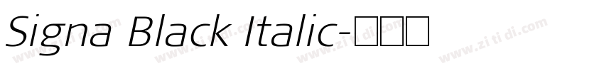 Signa Black Italic字体转换